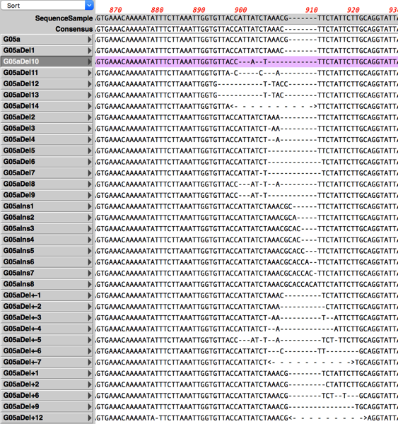 CRISPR14_5_3Results.png CRISPR14 5 3Results
