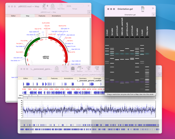 BigSurMV18.1.png BigSurMV18 1