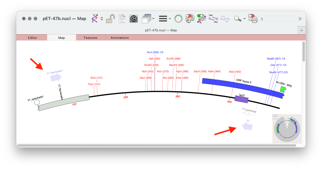 ScanDNA-primers-1.png ScanDNA primers 1