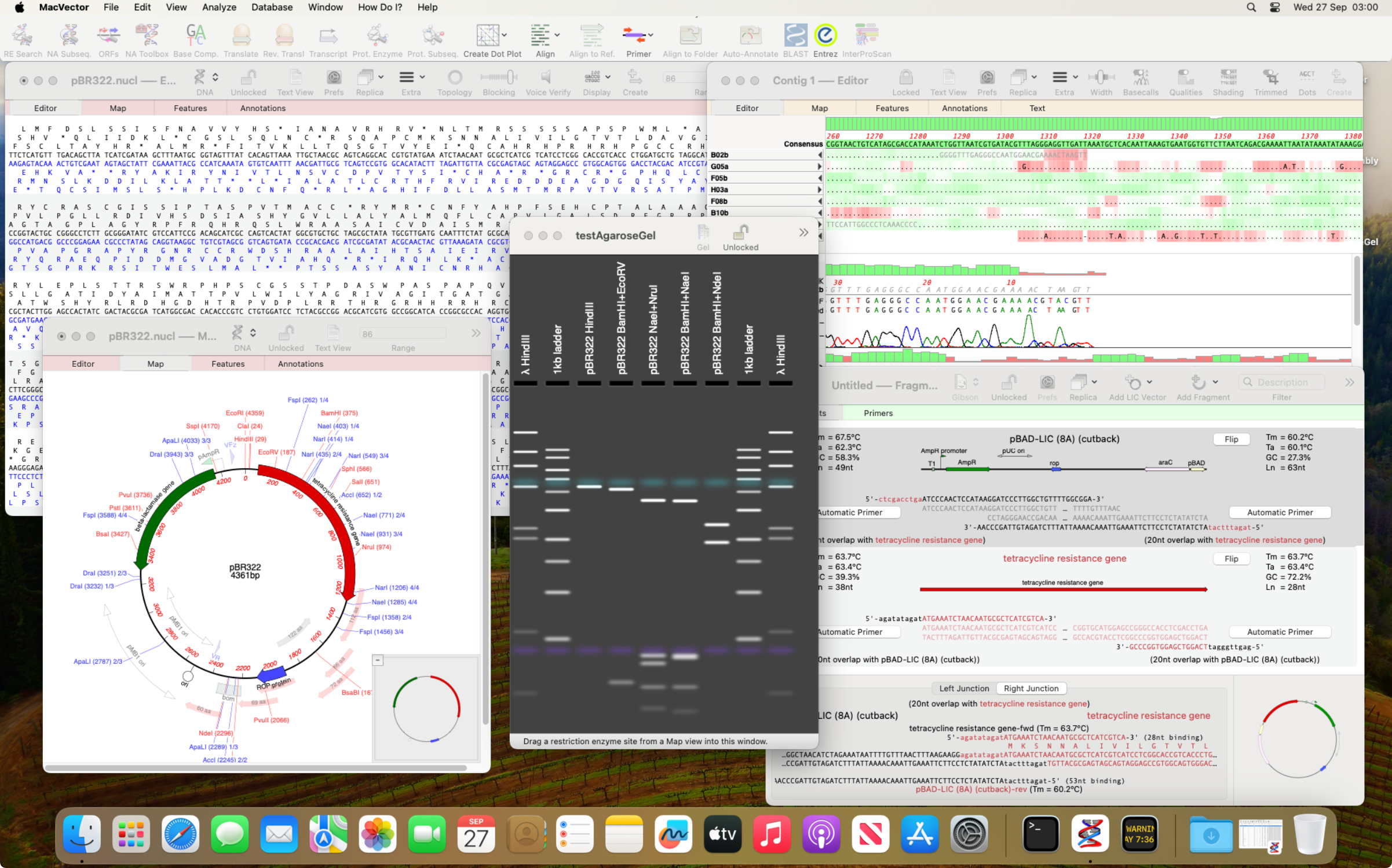 macOS_Sonoma_MV1861.png MacOS Sonoma MV1861